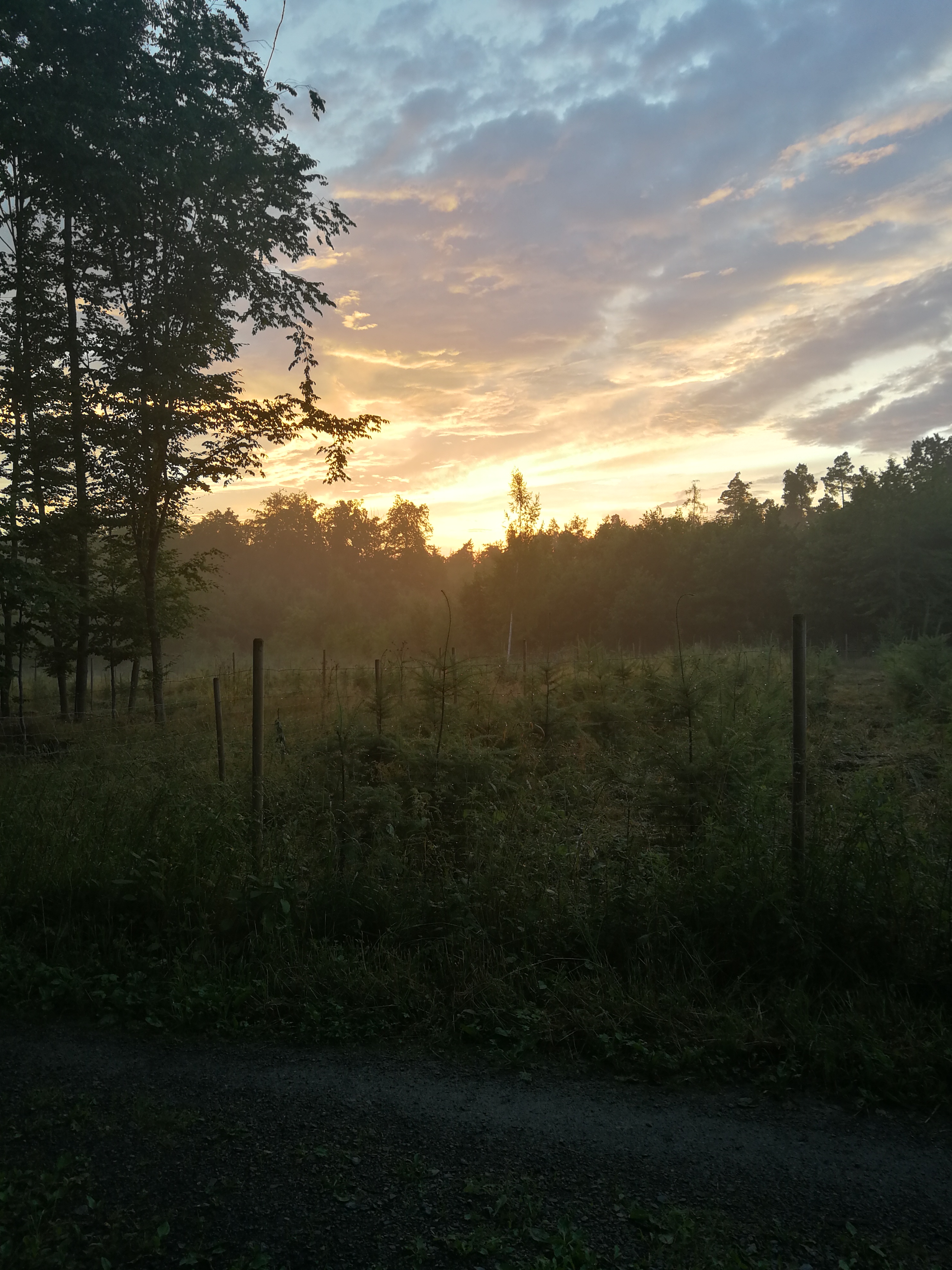 Sonnenaufgang